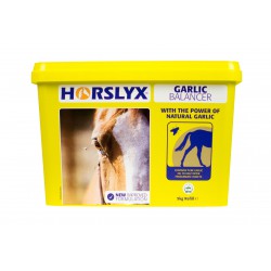 Lizawka dla konia Garlic  HORSLYX 5 kg