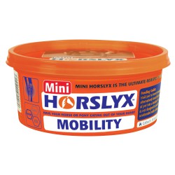 Lizawka dla konia Mobility HORSLYX 650g