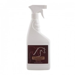 Preparat przeciw grzybicy FUNGISEPT Spray Over Horse 500 ml