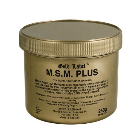 Preparat wzmacniający stawy MSM Plus 250 g GOLD LABEL